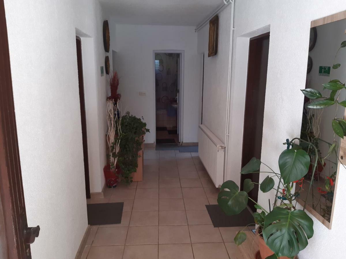 Rooms Luka سيليست دريزنيكو المظهر الخارجي الصورة
