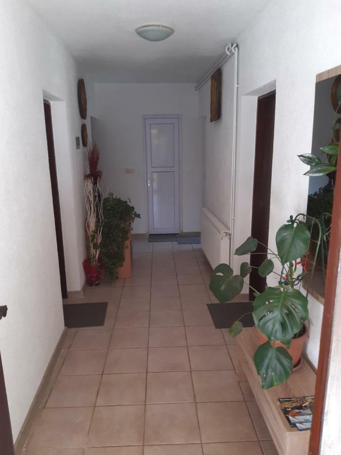 Rooms Luka سيليست دريزنيكو المظهر الخارجي الصورة